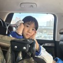 논산더집 | [육아]대전육아블로거가 단골 예약하고 온 논산더코지캠핑장::개별샤워실, 화장실, 개수대에 넓은 키즈...