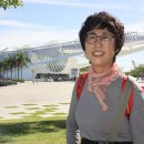 브라질 여행기 9 - 리우데자네이루 아마냐 박물관. 이미지