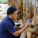 쑥쑥한우농장 이미지