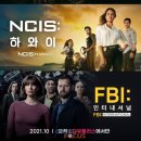 CSI Global 이미지