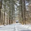 흰구름이머무는풍경 | 🌄 오대산국립공원 – 숲과 구름 사이, 천년의 시간이 머무는 곳