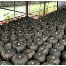 무정농장 이미지