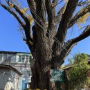 교남무악동 이미지