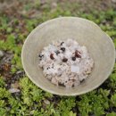 성남경희우리한의원 이미지