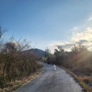 고망돌담 이미지