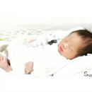 자연보검 이미지