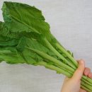 돌산농원 이미지