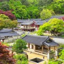 조정서원 | 도산서원, 서원스테이란? 프로그램 구성과 참가자 후기 모음