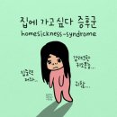 미분당김포 네이버블로그