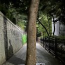 범노래타운