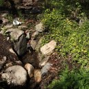 무룡고개 3쉼터 이미지