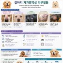 멍멍이네 - 경산시 대학로 385 | 멍멍이네