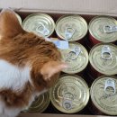 한바다참치 이미지