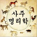 사주명리학 초급 이미지