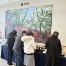 함평천지 이미지