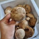 봉림농장 이미지