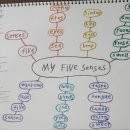 My Five senses 이미지