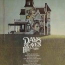 so tree farm 이미지