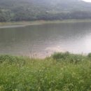 모텔파라다이스 이미지