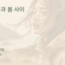 제주 유리의 성 | 제주도 4월 날씨 여행 가이드｜초·중·말 기온, 옷차림, 꽃구경 시즌까지