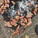 음봉농업협동조합 주유소 | [천안시 광덕면] 광덕사슴목장 캠핑장 #동계캠핑 #소규모캠핑장 #천안카라반 #천안장박