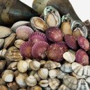 문경히든벨리오토캠핑장 이미지