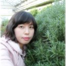 일영랜드 이미지