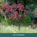 이화고택 전통체험관
