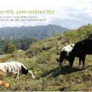 범산목장 이미지