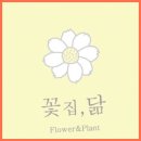 꽃집;닮 이미지