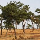 금마3농장 이미지