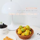 비타민농장(구. 지룡농원) | 산지직송 제철먹거리 맛보장'감별마켓'제주 하우스감귤 찐달콤!택배