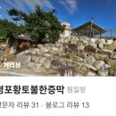 경포황토불한증막 이미지