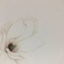 기초 보태니컬아트 기법 이미지