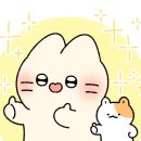 해솔스튜디오 이미지
