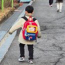 M광택 | 초등 저학년 책가방 추천 총정리｜시로카라 M+ vs 아이스비스킷 백팩 실사용 후기/비교