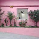 맘마마트 이미지