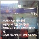 역(歷)-전개 | [나들이]한양 서촌/漢陽 西村