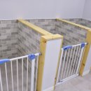 개와 사람(애견호텔) 이미지