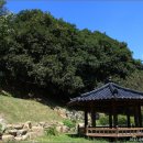 함평 기각리붉가시나무자생북한지 이미지