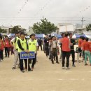 산호초등학교 이미지