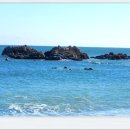 나정1리마을회관 이미지