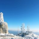 솔방울 산악회 제5차 함백산 설경산행안내 이미지