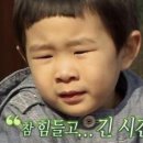 엄마농장 이미지