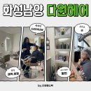 다원파마