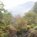 양지-3558 이미지