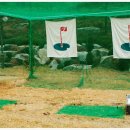 가평파크골프장 이미지