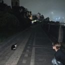 롱 스토리 이미지