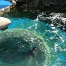 엑스포안경원 이미지