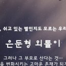 파이교육그룹 이미지